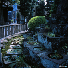 中野宝仙寺石臼塚02