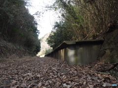 落ち葉の積もる駅