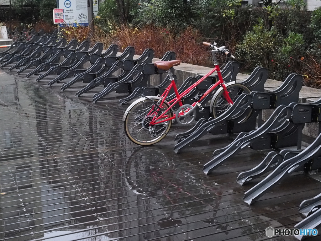 雨の赤坂