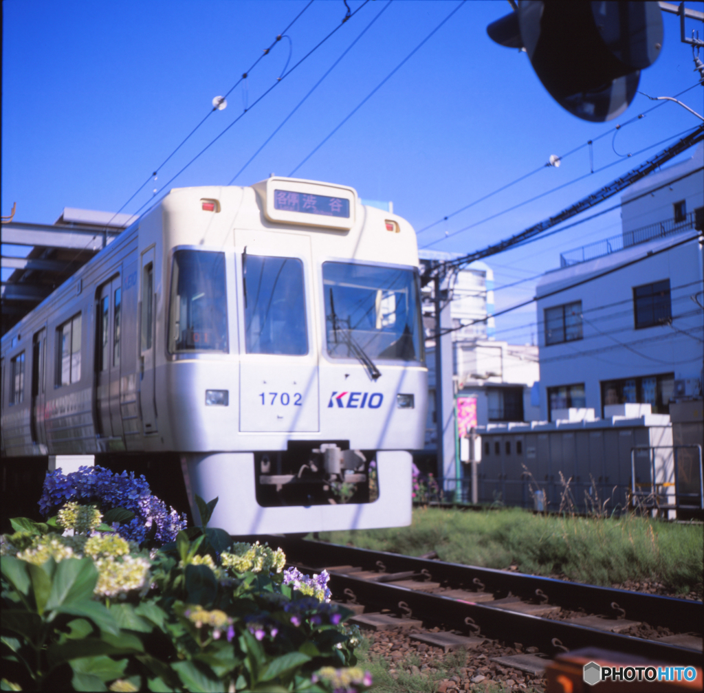 京王井之頭線　西永福駅付近02