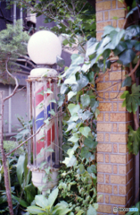 Canonet QL19試写10