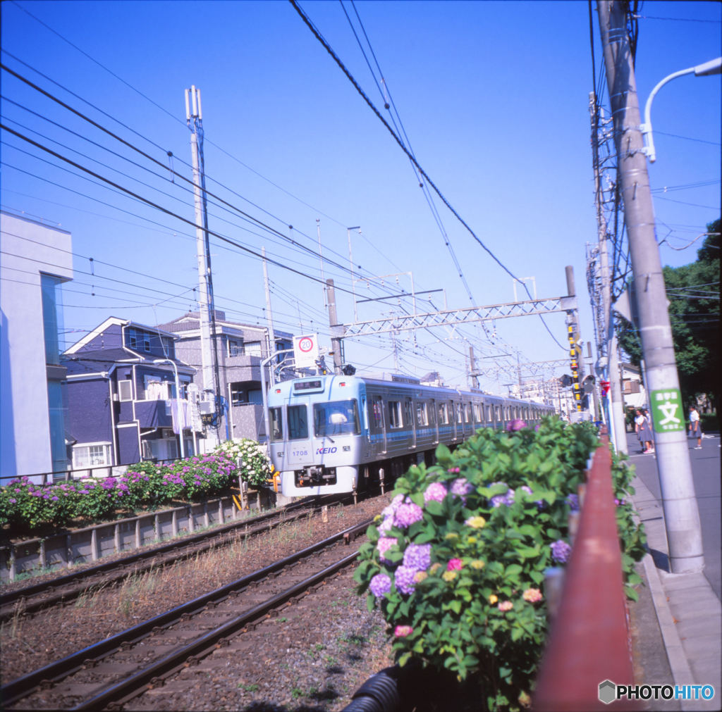 京王井之頭線　浜田山付近02