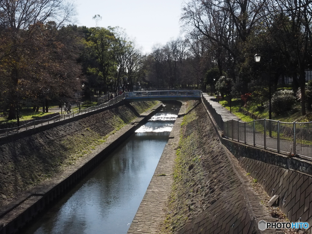 善福寺川