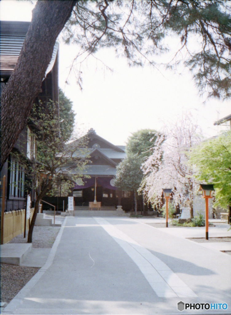 猿田彦神社