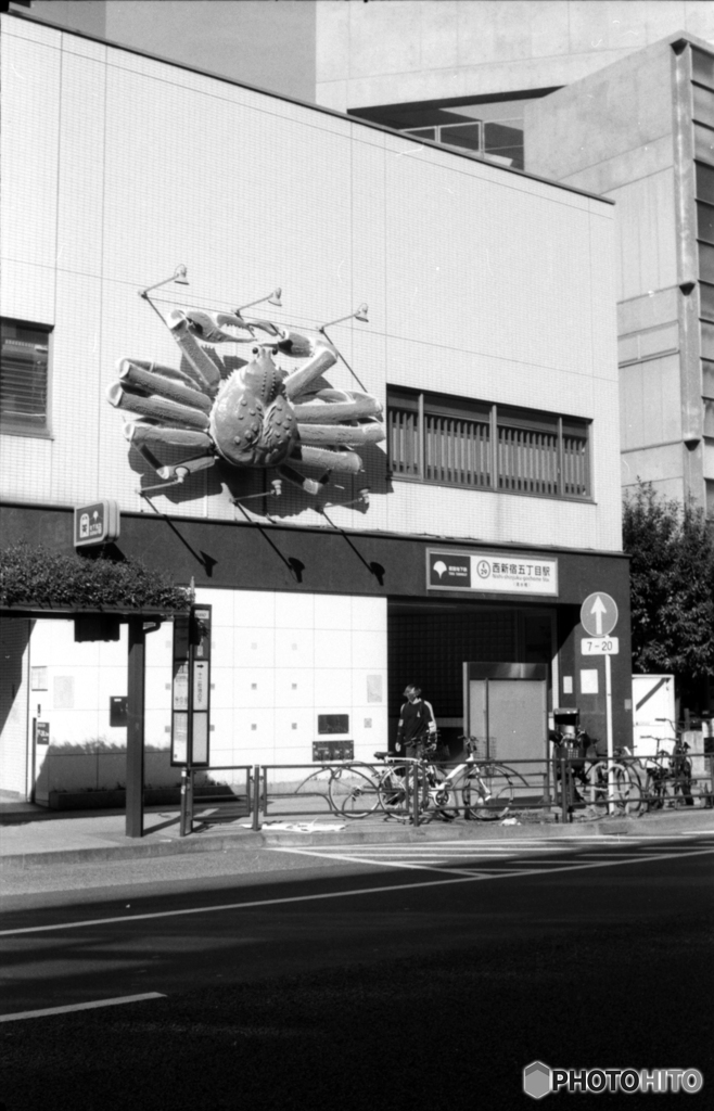 大江戸線の駅に寄生する甲殻類