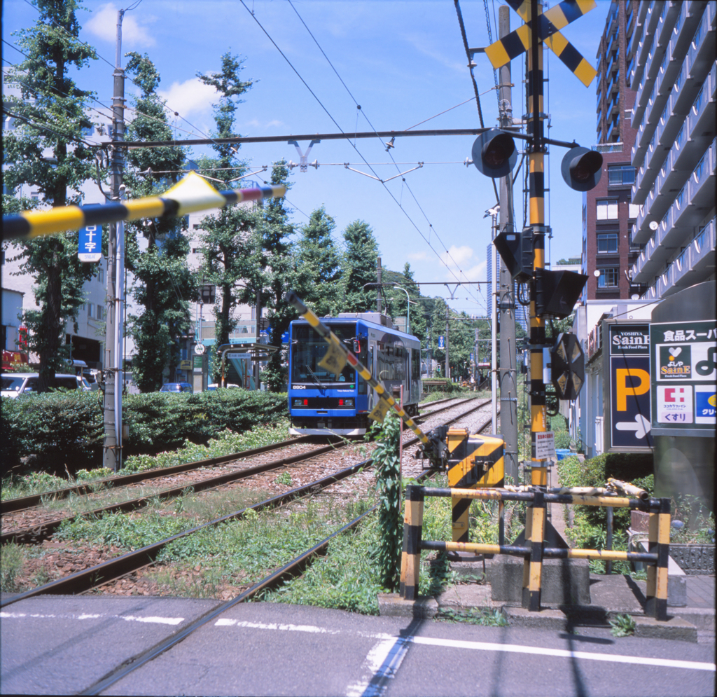 都電荒川線　雑司ヶ谷付近01