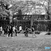 蚕糸の森公園　縄跳びリハーサル2