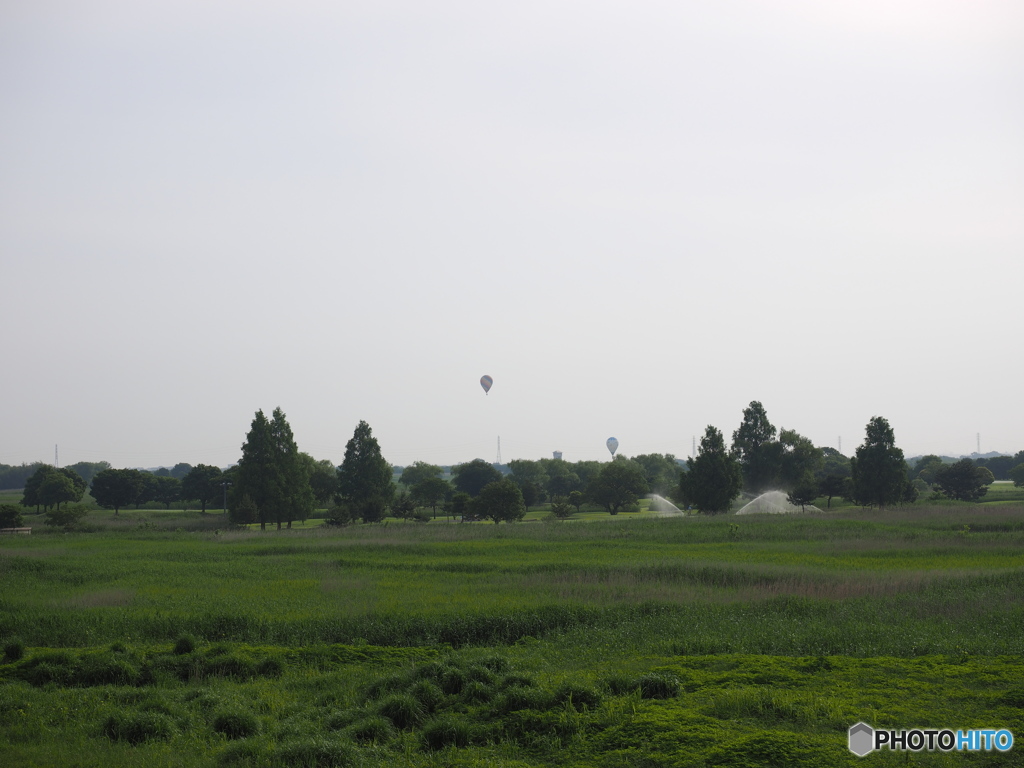 渡良瀬遊水地