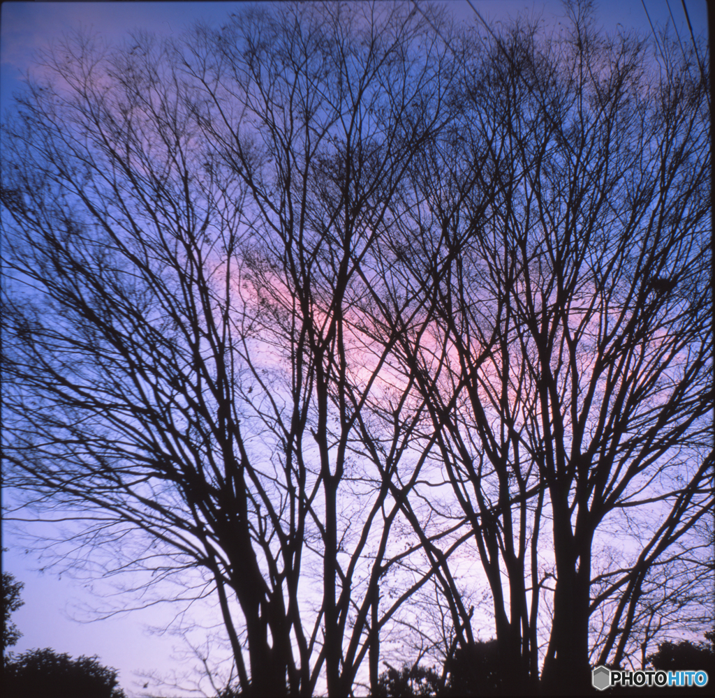 ZEISS IKON 524/16 Novar 75mm 4.5試写02