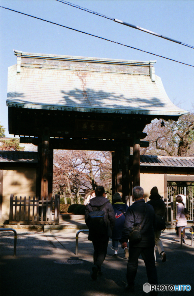 豪徳寺