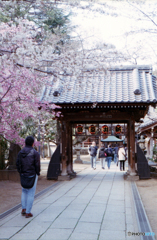 新井薬師