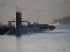 PA19039022