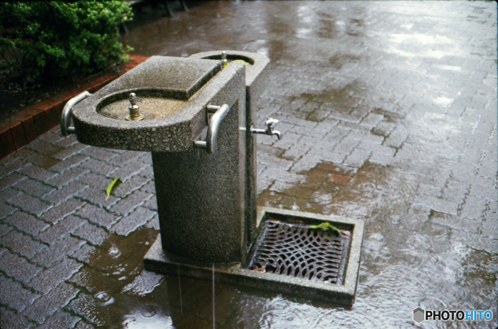 YASHICA ELECTRO35 CC試写