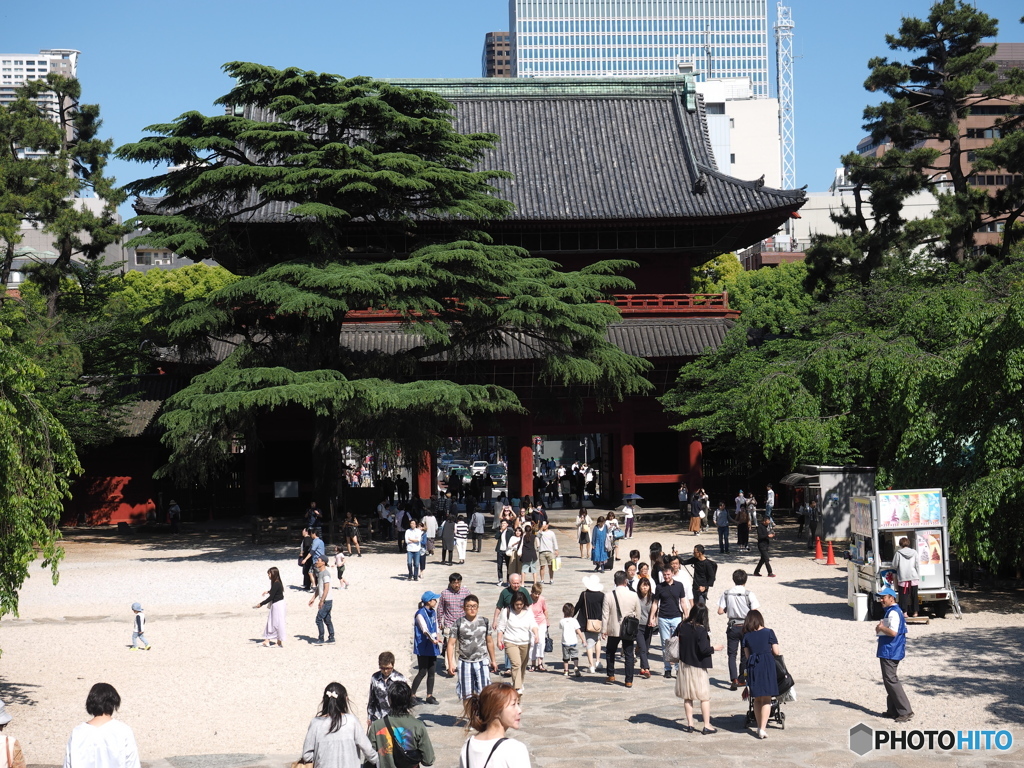 芝　増上寺　山門01