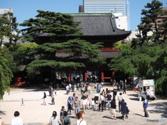 芝　増上寺　山門01