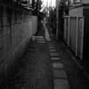 新大久保あたりの路地