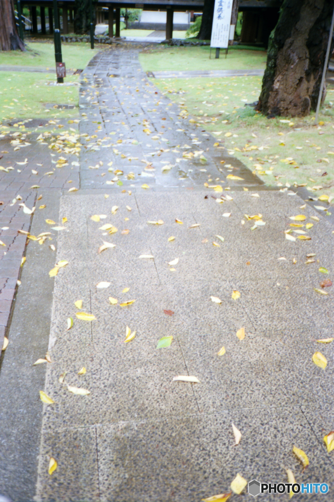 9月の雨01