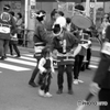 去年のお会式04