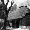 江戸の農家