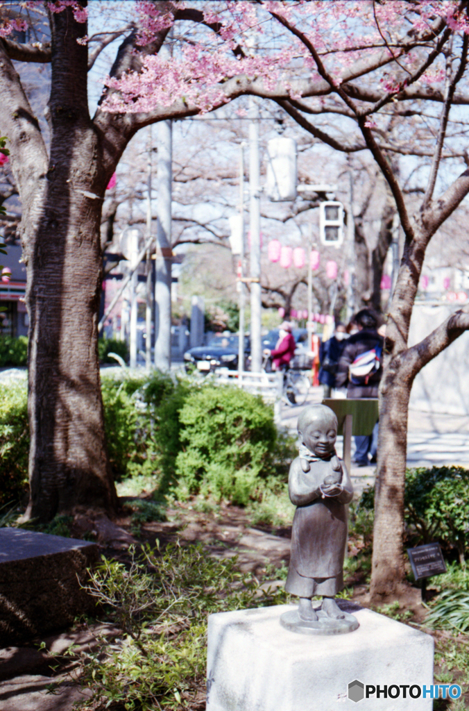 新井薬師公園付近