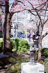 新井薬師公園付近