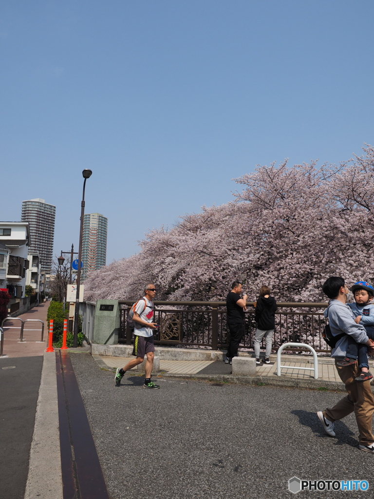 神田川　新開橋