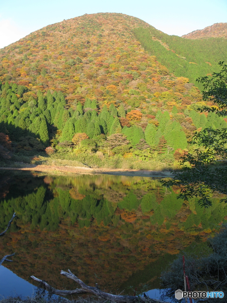 箱根旧街道お玉が池