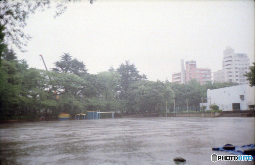 Canonet QL19試写06