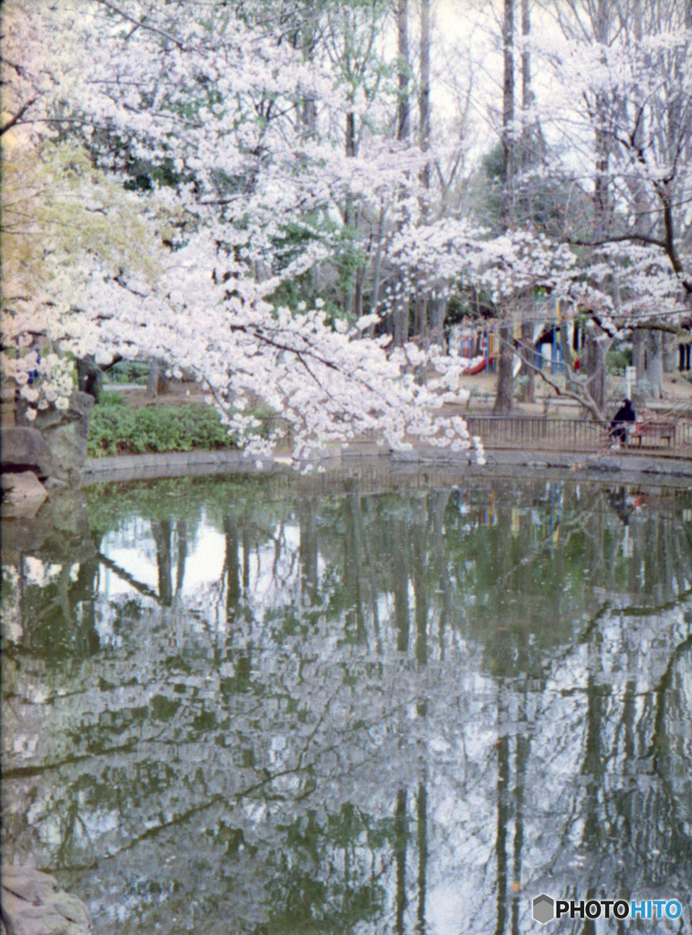 馬橋公園