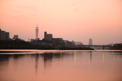 鏡川朝景色