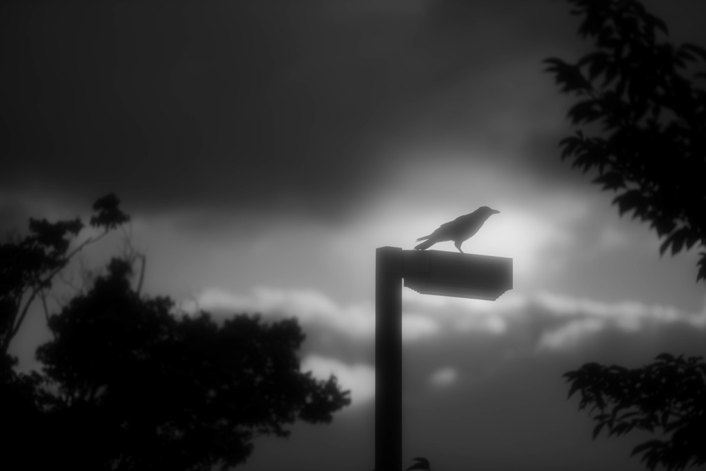 ＴＨＥ　ＣＲＯＷ