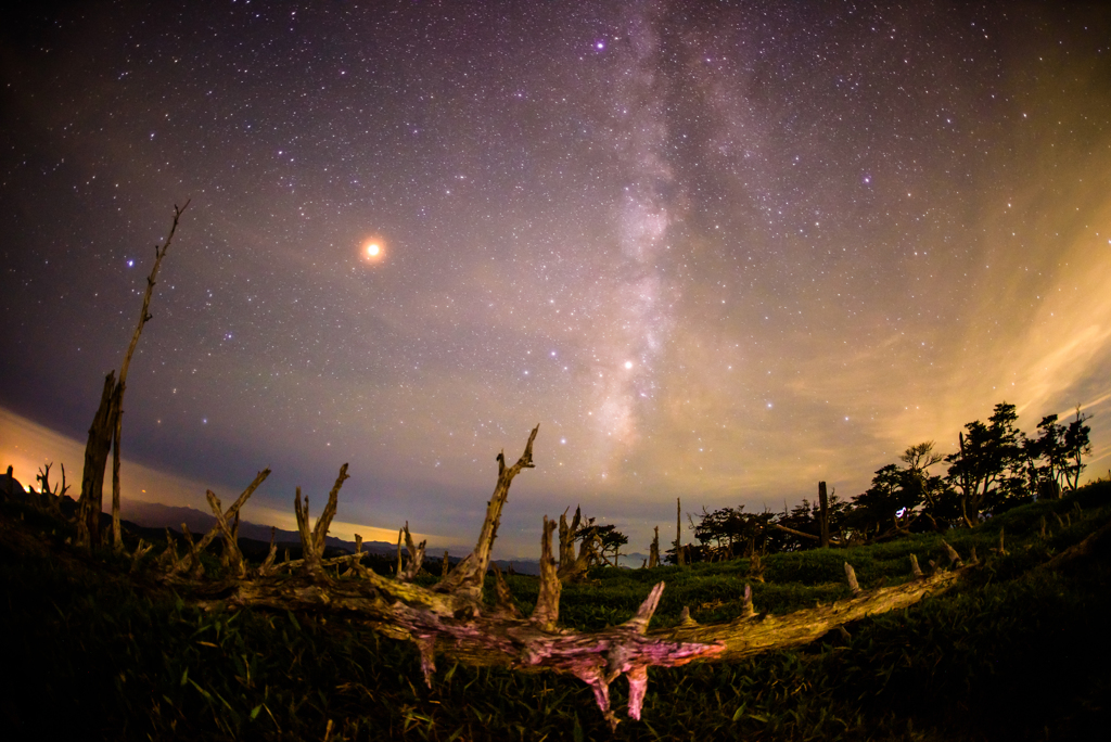 圧巻の星空