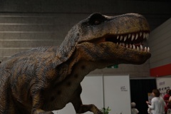 T-rex