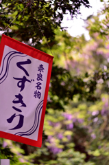 藤があまりありませんでした。