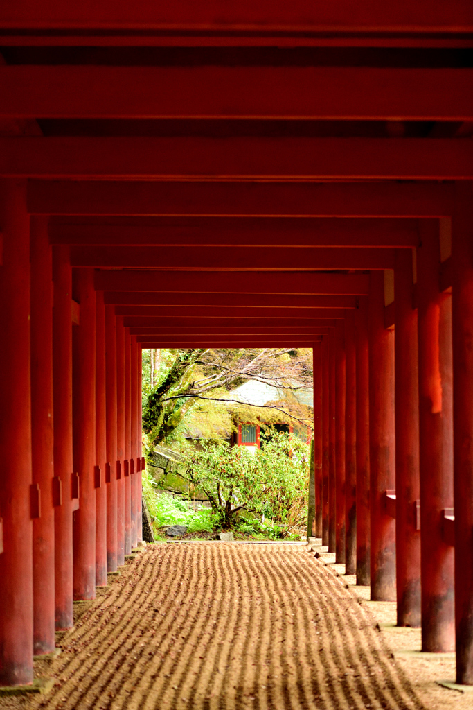 その先には桜が欲しかった。