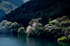 室生湖