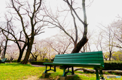 春色bench♪