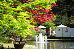 庭園フラリエの初夏の陽気