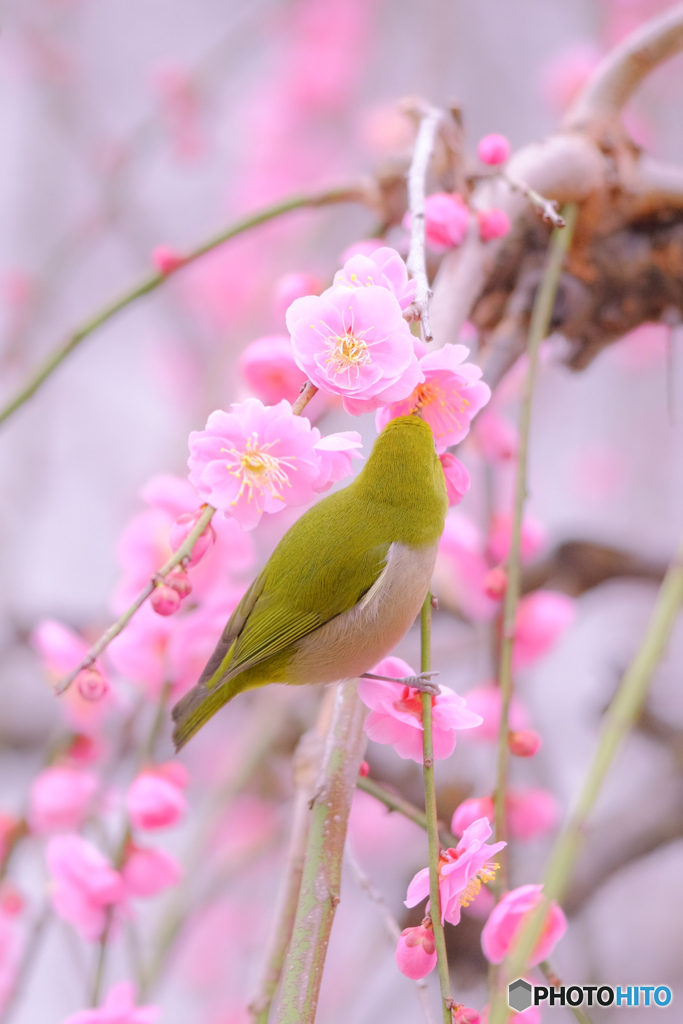 見ないでね♪