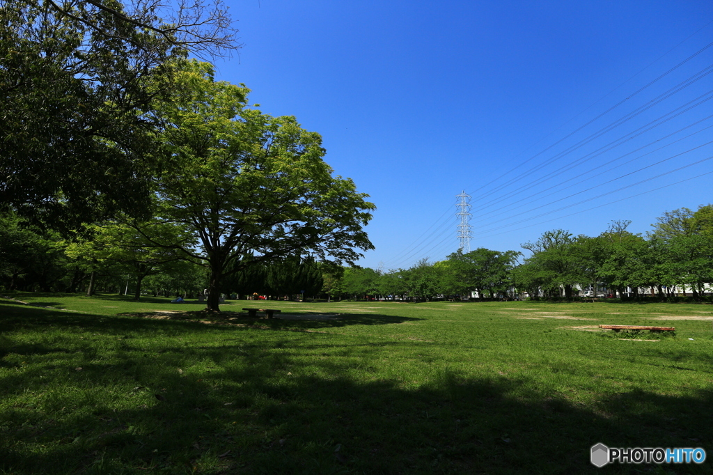 牧野ヶ池緑地