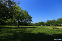 牧野ヶ池緑地