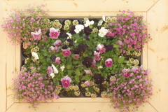 flower campus