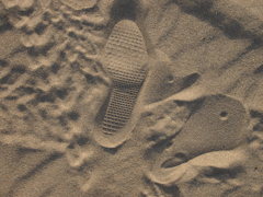 砂浜