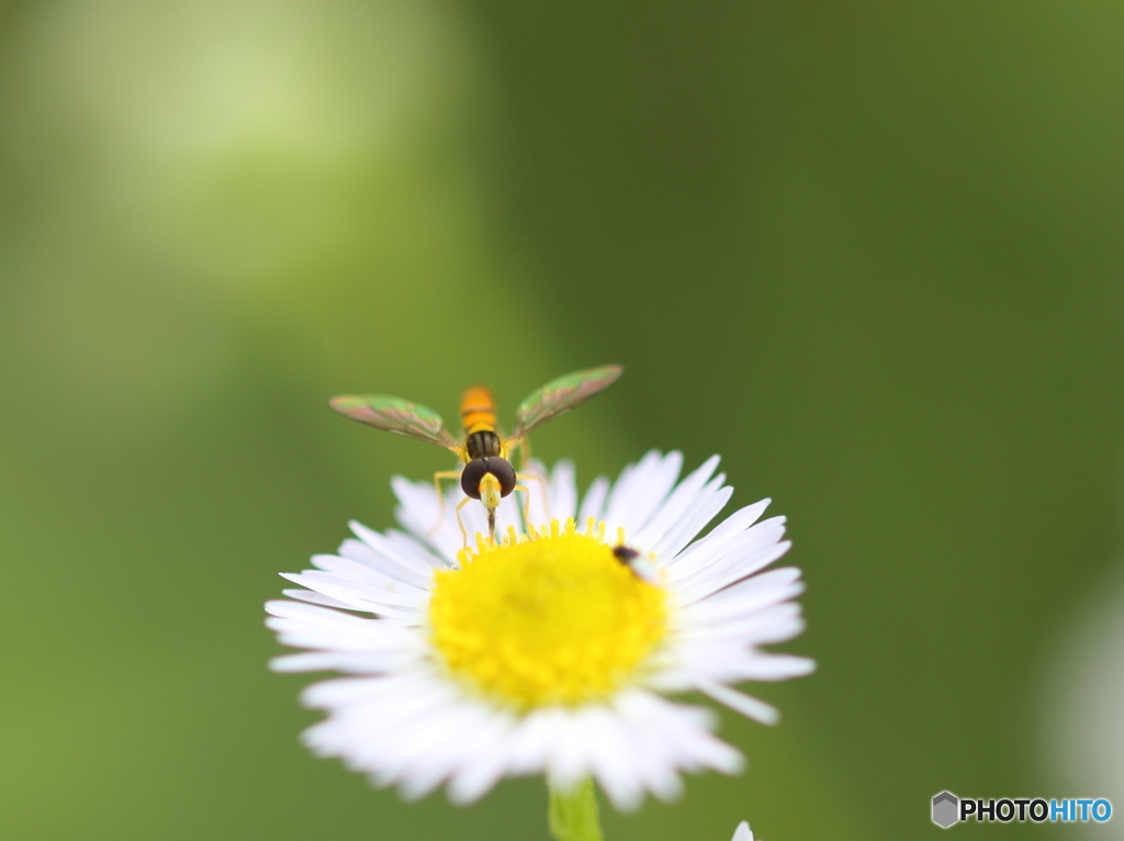 お邪魔しま～す