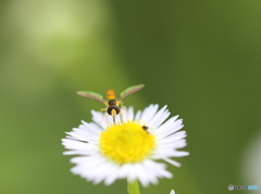 お邪魔しま～す