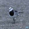 あ、撮ってんの？