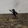 僕、降りるよ