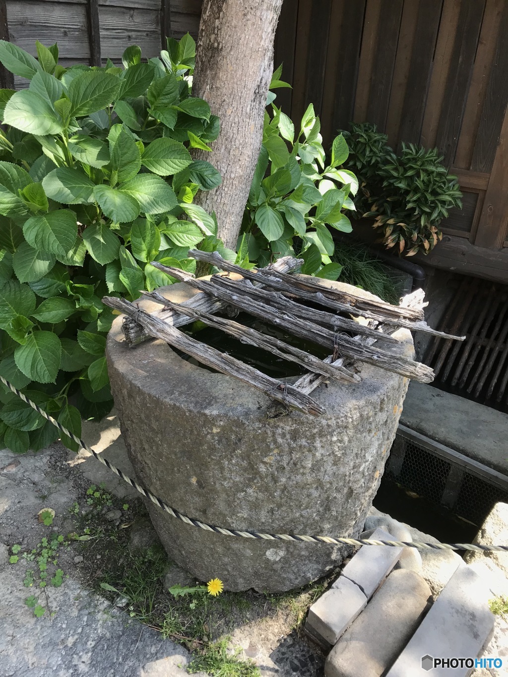 水の取り入れ口