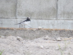 イチニイチニ♪