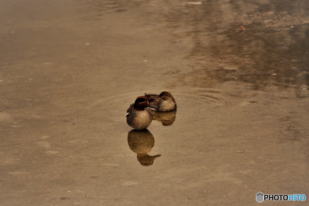 微睡から覚めて